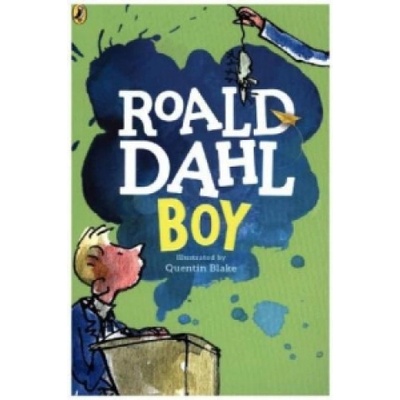Boy: Tales of Childhood - Roald Dahl, Quentin Blake