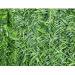 РОСИМА ОЗЕЛЕНЯВАНЕ ЗА ОГРАДИ БОР h=2.0 l=3.0м ИЗКУСТВЕНО (mz 800-200)