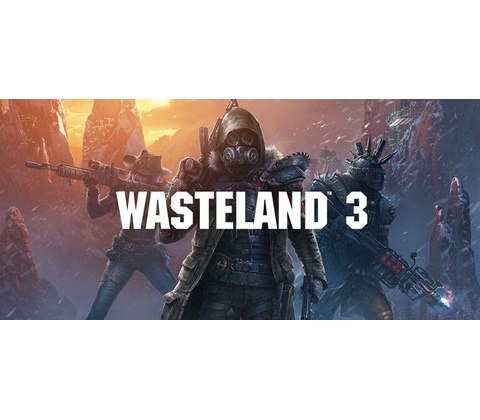Wasteland 3