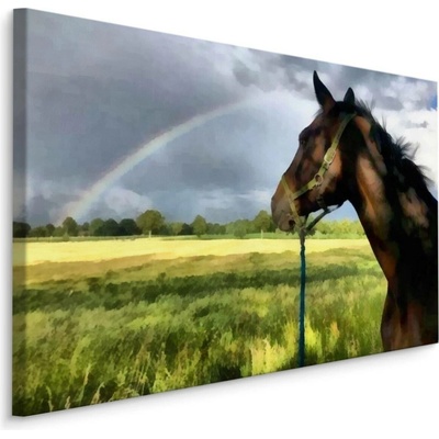MyBestHome BOX Plátno Kůň Na Louce Varianta: 70x50
