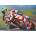 Alipson Puzzle - Puzzle On the Edge - 500 piese
