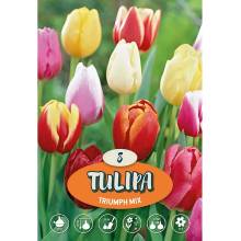 Tulipán Triumph ""Mix""