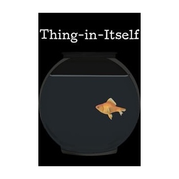 Thing-in-Itself