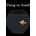 Thing-in-Itself