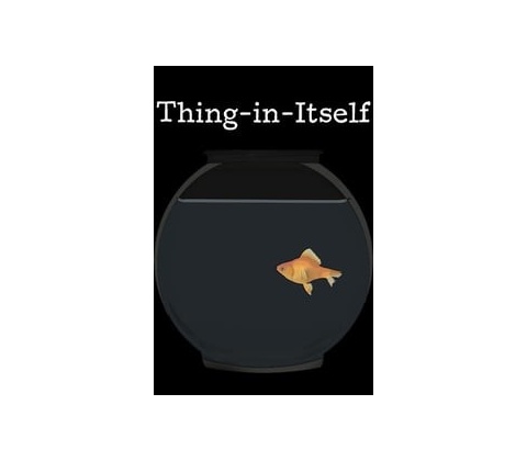 Thing-in-Itself