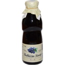 Nature Notea Babiččin sirup Borůvka 0,5 l