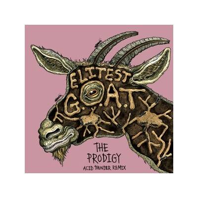 Aldous Harding & Sleaford Mods Vs The Prodigy - Elitest G.O.A.T. LP
