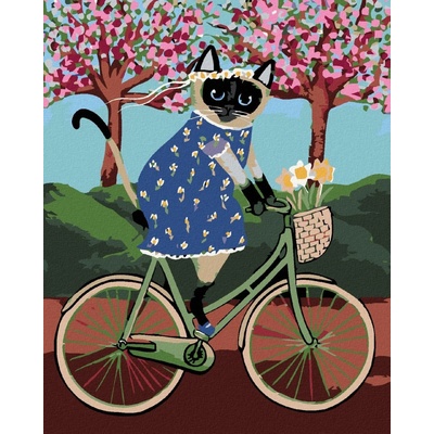 zuty Malování podle čísel Kočička na kole 40 x 50 cm vypnuté plátno na rám 8596530013532