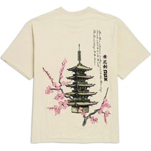 DGK Haiku T Shirt Tan
