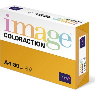 Coloraction PX408CHAT5