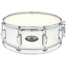 Pearl DMP1455S