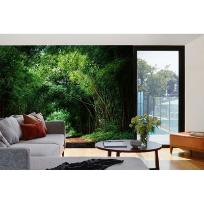 DIMEX ART Самозалепваща се флизелинова фототапета бамбуков път 375 x 250 см