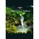 Beautiful World mini