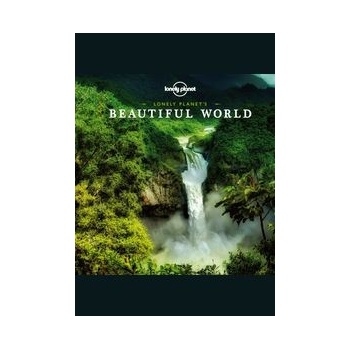 Beautiful World mini