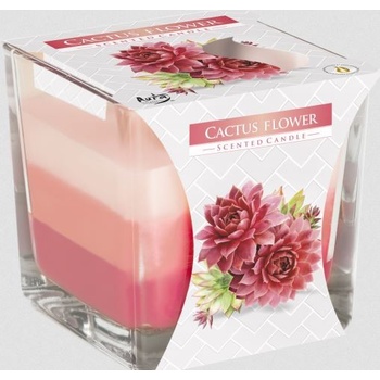 Bispol Aura Cactus Flower 170 g