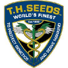 T.H. Seeds Underdawg OG semena neobsahují THC 5 ks