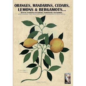 Oranges, mandarins, cedars, lemons & bergamots. . | Luca Stefano Cristini (ISBN: 9788893270830)