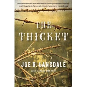 The Thicket | Joe R. Lansdale (ISBN: 9780316188449)