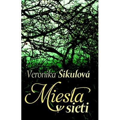 Miesta v sieti