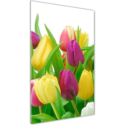 Vertikálny foto obraz fotografie na skle Farebné tulipány 50x100 cm