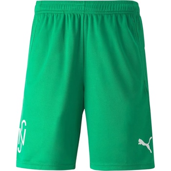 PUMA Шорти Puma NJR Copa Short Kids Grün F07 605571-007 Размер 164