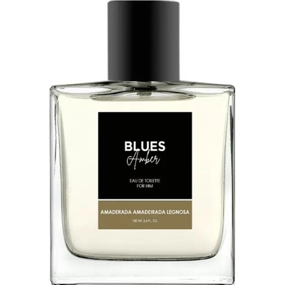 Melody Blues Amber toaletní voda pánská 100 ml