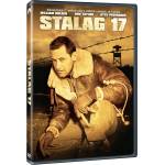 MagicBox Лагер 17 - dvd (020309)