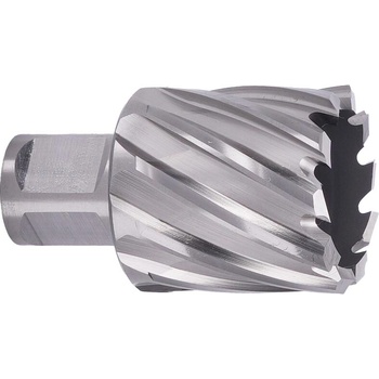 ABSE N-HS-W19-0370025
