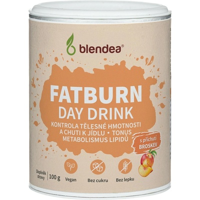 Blendea Fatburn Day Drink 100 g
