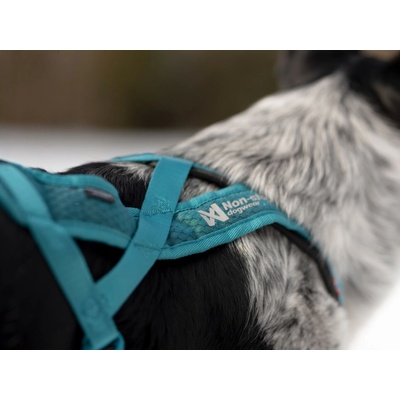 Non-Stop Postroj pro psy dogwear Rush teal