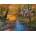 SunsOut - Puzzle Creekside Neighbors - 500 piese