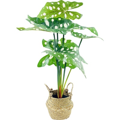 Home Styling Collection Umělá květiná v košíku ALOCASIE, 51 cm, zelená zelený