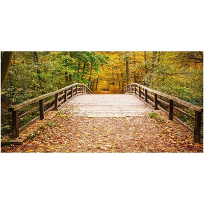 Moderný foto obraz na stenu Most v lese jeseň 100x50 cm