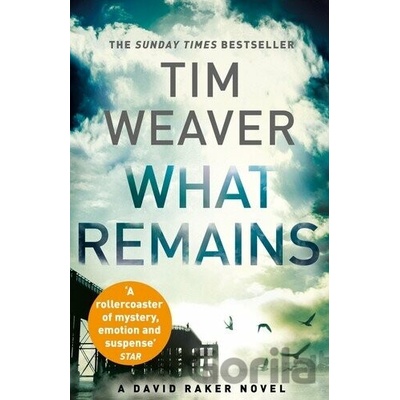 What Remains: David Raker Novel #6 - Tim Weaver