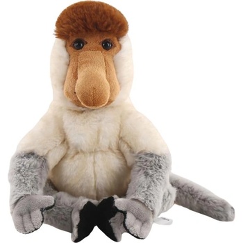 Кахау носат 30 см