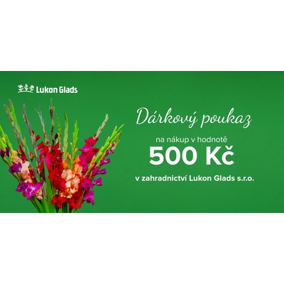 Elektronický dárkový poukaz 500 Kč