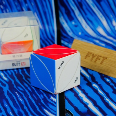 Ivy cube M QiYi hlavolam Stickerless