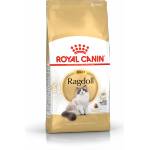 Royal Canin Ragdoll Adult 400g суха храна за възрастни котки от породата Ragdoll