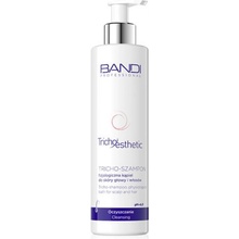 Bandi regenerace a hydratace Šampon 230 ml