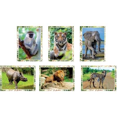 Aria Pohled dětský lux - Safari ,balení 50 ks