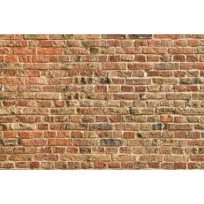Dimex MS-5-2686 vliesová fototapeta na zeď Múr z červených tehál, rozmery 375 x 250 cm