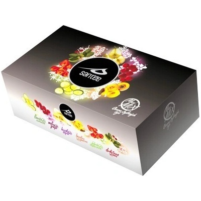Santée Maxi MIX ovocných a bylinných čajov 60 x 2,5 g