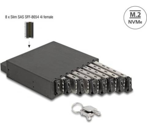 Delock 47129