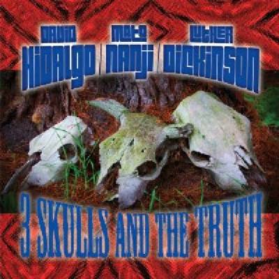 Hidalgo/Nanji/Dickinson - 3 Skulls And The truth CD