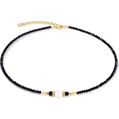 Coeur de Lion 1141/10-1300