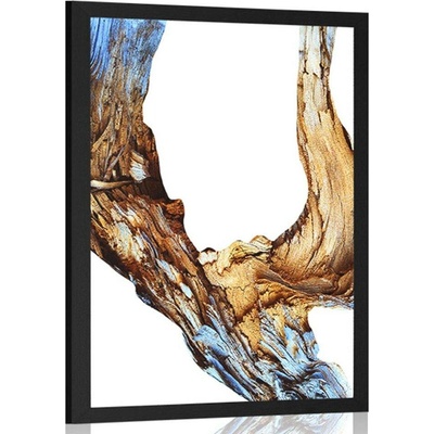 Plakát abstrakce kůry stromu - 40x60 no frame