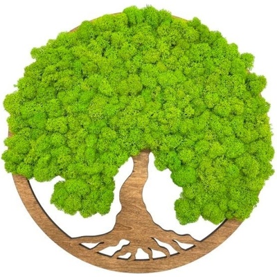 Machový obraz Strom života Simple 40cm Palisander