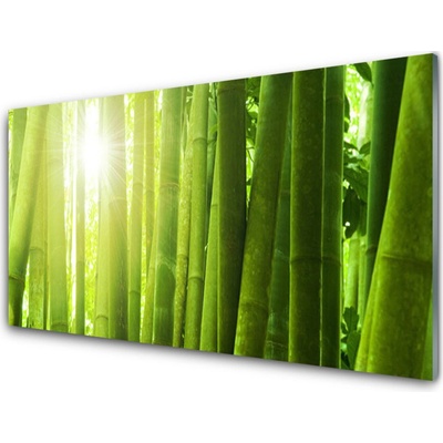 Obraz na skle Bambus Rostlina 100x50 cm