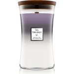 WoodWick Trilogy Amethyst Sky ароматна свещ с дървен фитил 609.5 гр