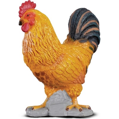 Collecta Kohút